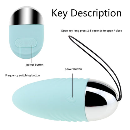 10-Speed Panties Wireless Remote Control Vibrator, Waterproof Jump Egg, G-Spot Clitoris Massager Sex Toy for Females
