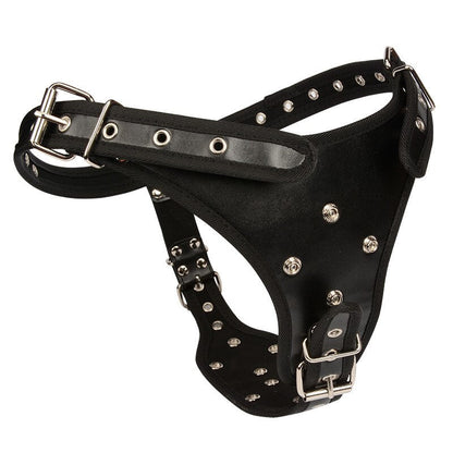 Strap-on Dildo, Sex Toy, Male Genital Dildo, Wearable Dildo, Sex Toy for Lesbians and Couples, Three Dick Strap-on, Realistic Dildo