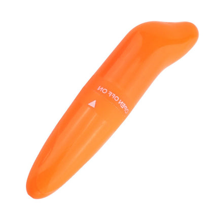 Safe Dolphin Vibrator Egg Secret Bullet Vibrator Clitoris Stimulator G-Spot Masturbator Quiet Masturbator for Women Sex Toys for Women