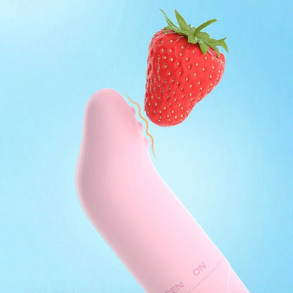 Safe Dolphin Vibrator Egg Secret Bullet Vibrator Clitoris Stimulator G-Spot Masturbator Quiet Masturbator for Women Sex Toys for Women