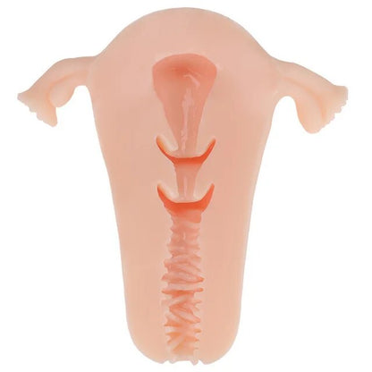 Soft Uterus Masturbator, Vaginal Cup, Real Female Model, Real Vagina for Men, Anal Sex, Deep Uterus, Sex, Prostate Stimulator, Sextoy
