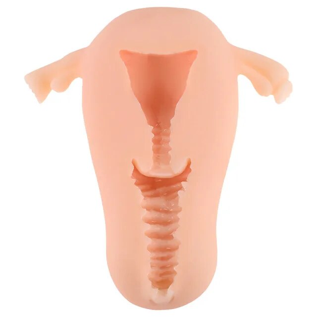 Soft Uterus Masturbator, Vaginal Cup, Real Female Model, Real Vagina for Men, Anal Sex, Deep Uterus, Sex, Prostate Stimulator, Sextoy