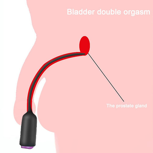 Masturbators Egg for Male Urethral Sound Vibrators Male Masturbation Tools Catheter Urethra Dilator Horse Sticks Toys