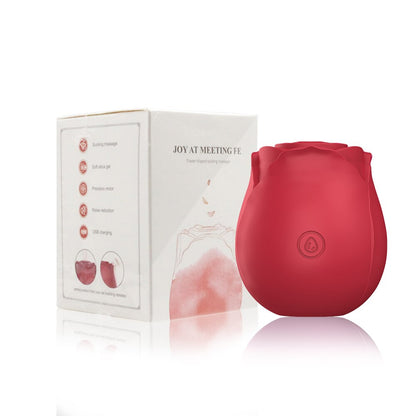 Powerful Vibration Sucking Vibrator G Spot Clitoris Sucker Massager for Women Masturbator Dildo Sex Toys for Adult Women